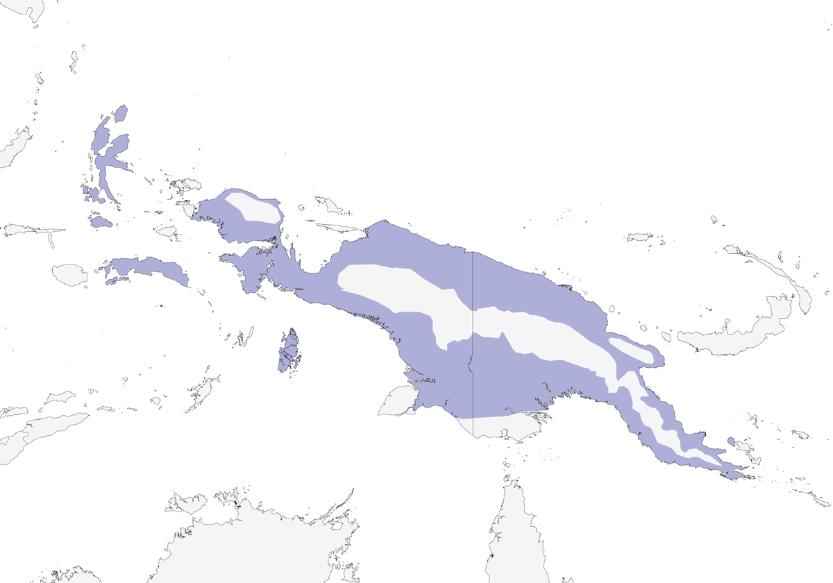 Águila de Gurney, Distribución 1