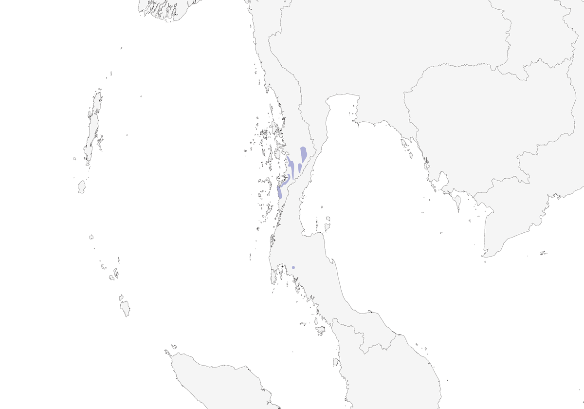Brève de Gurney, Distribution 1