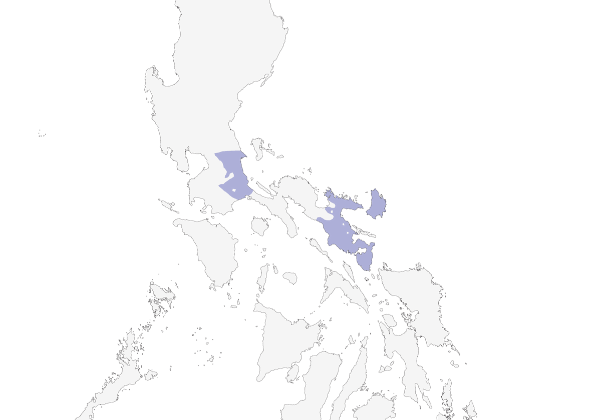 Bicol Ground-Warbler, Distribution 1