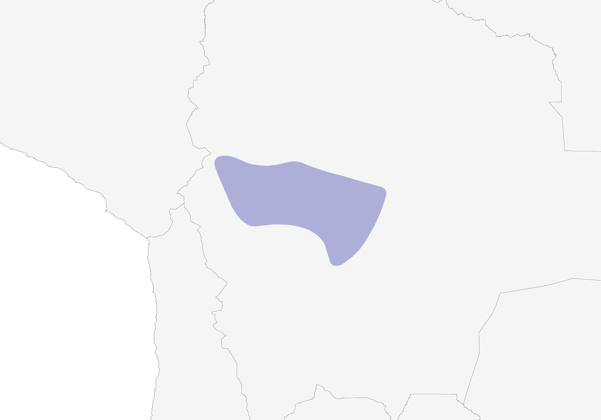 Pinchaflores Ventrigris, Distribución 1