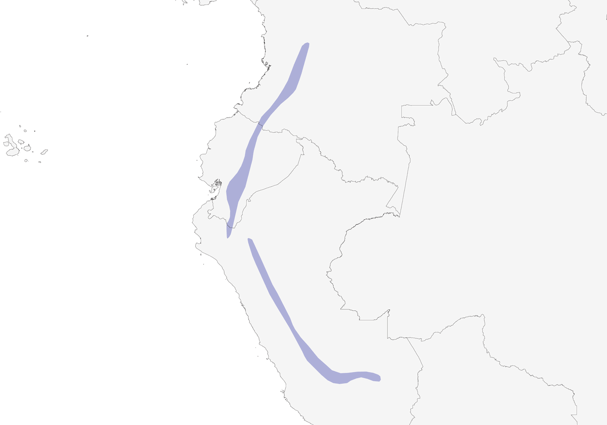 Gray-breasted Mountain-Toucan, Distribution 1