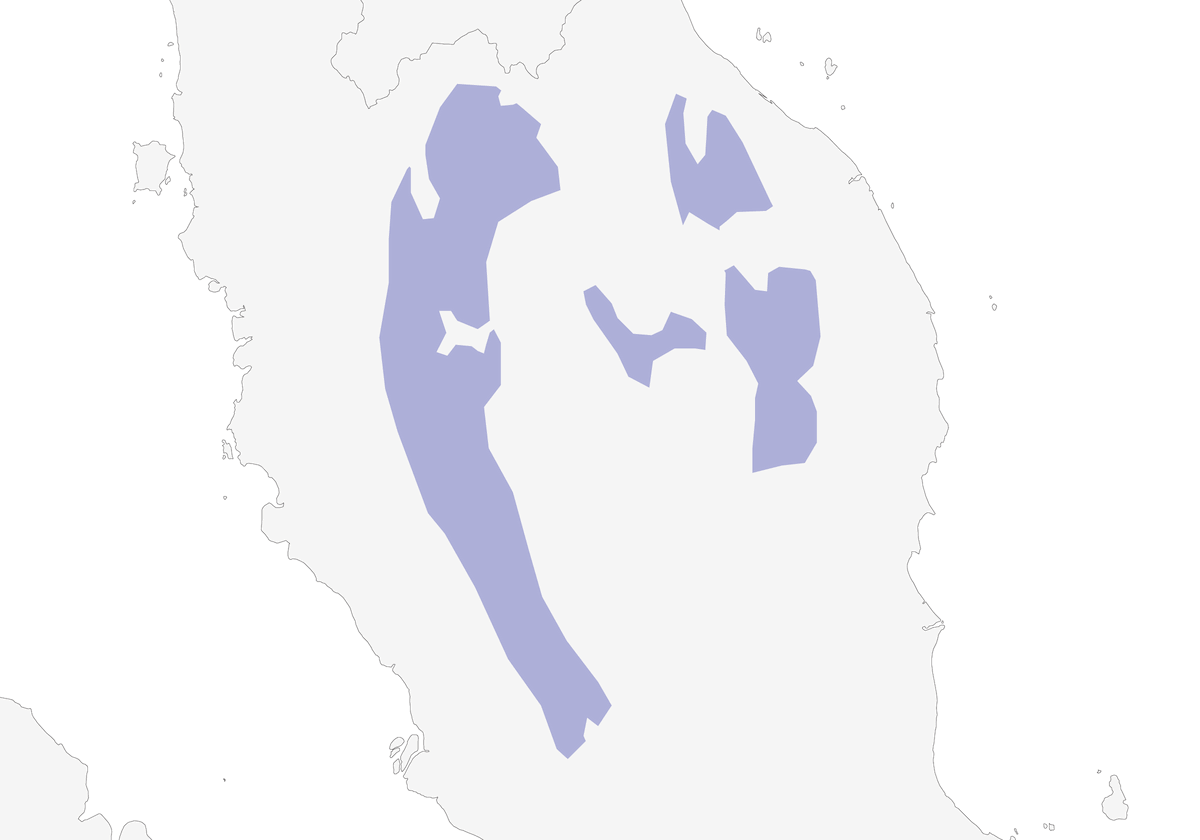 Pernice malese, Distribuzione 1