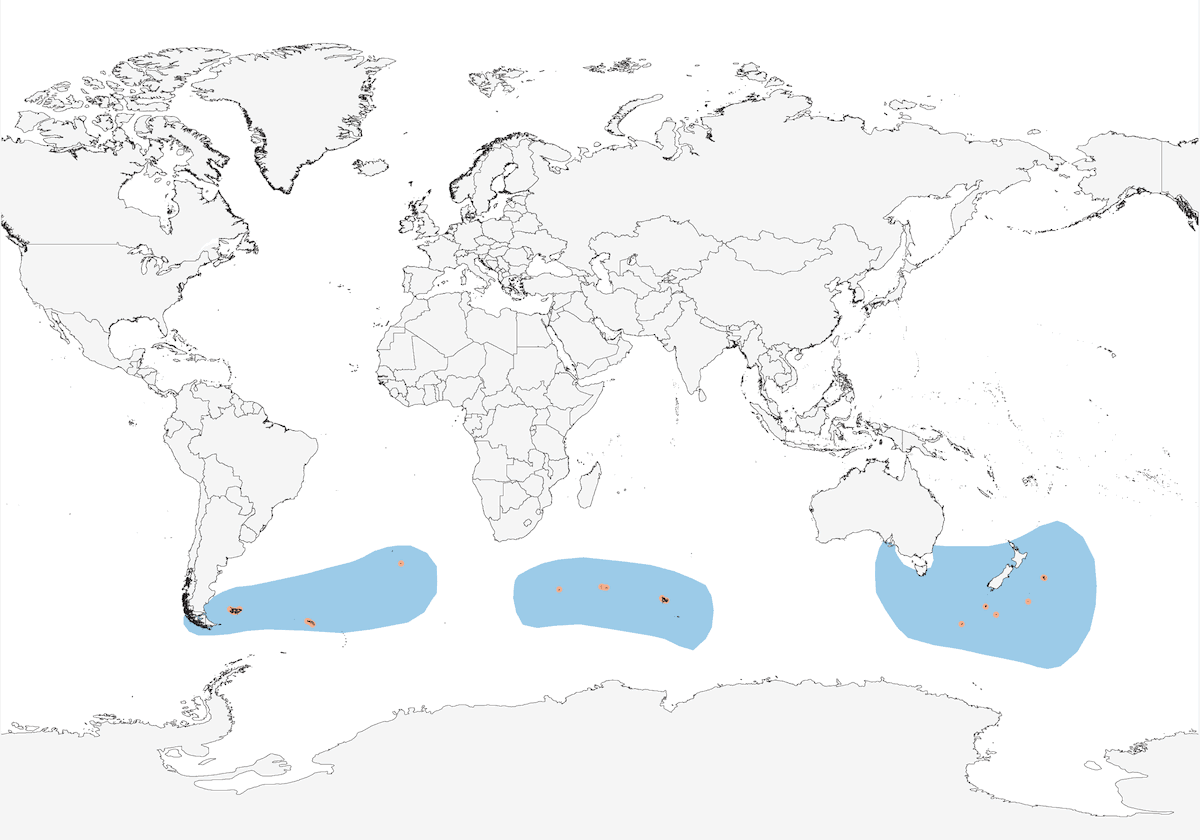 Paíño Dorsigris, Distribución 1