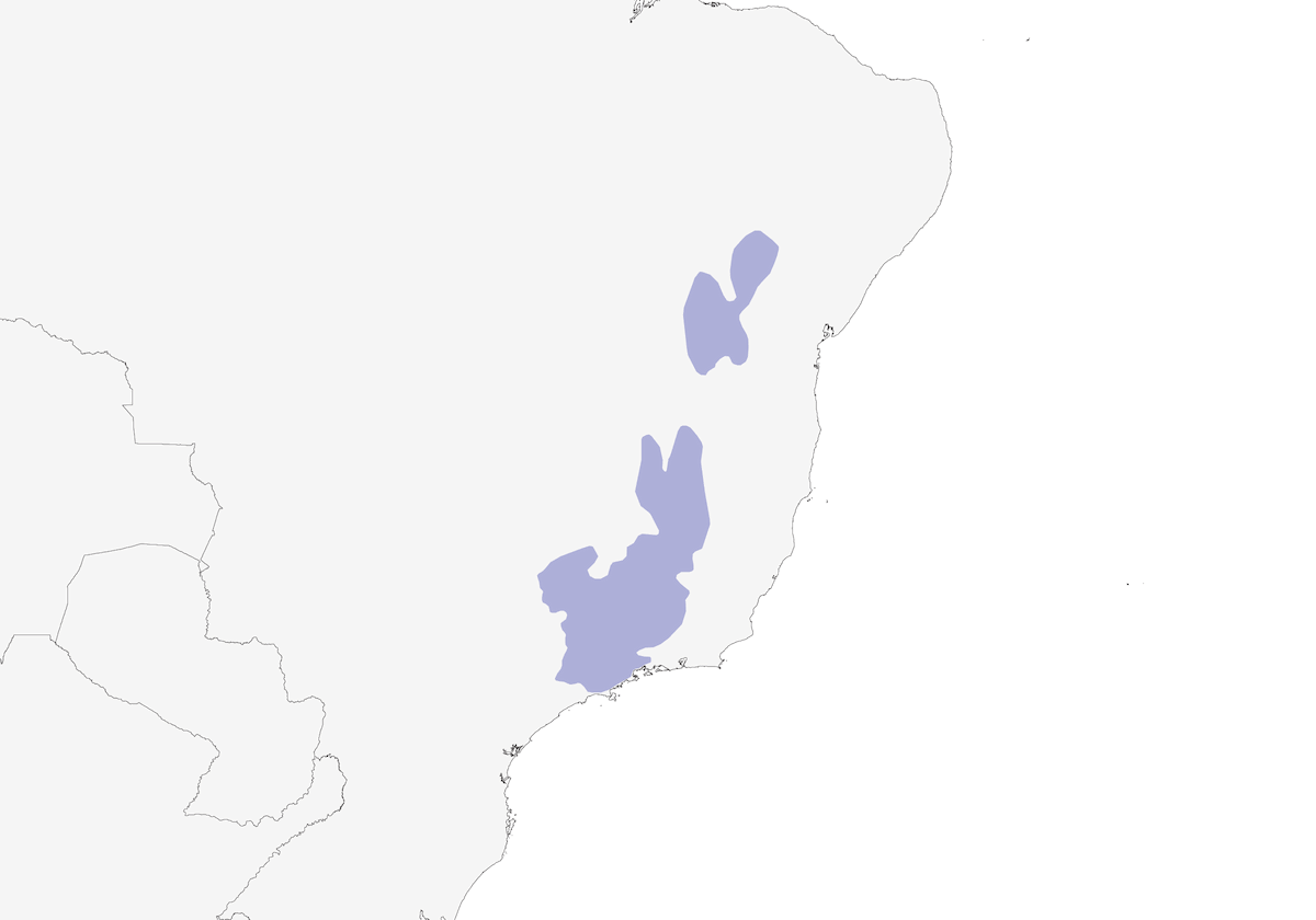 Gray-backed Tachuri, Distribution 1