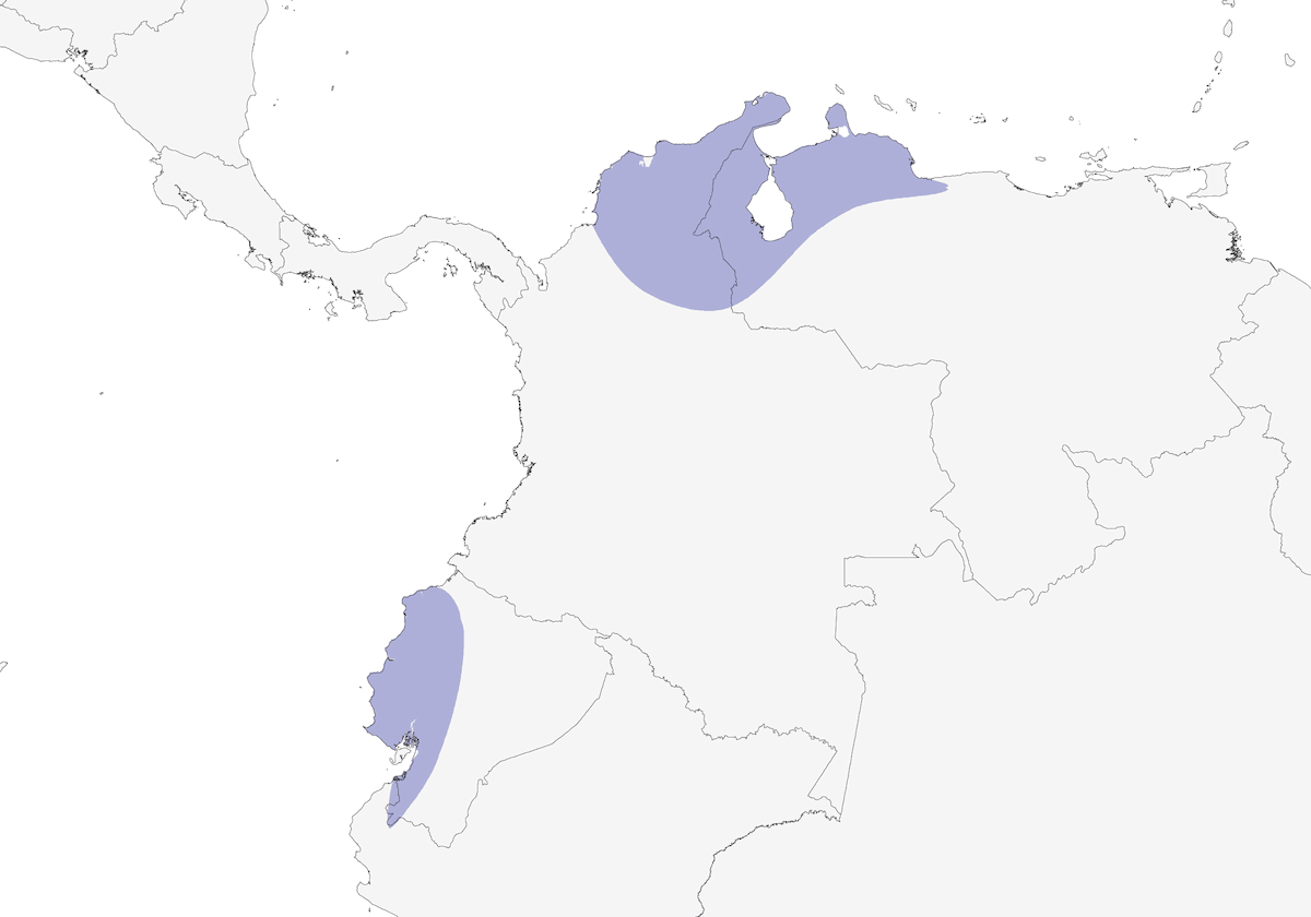 Cuculo testagrigia, Distribuzione 1