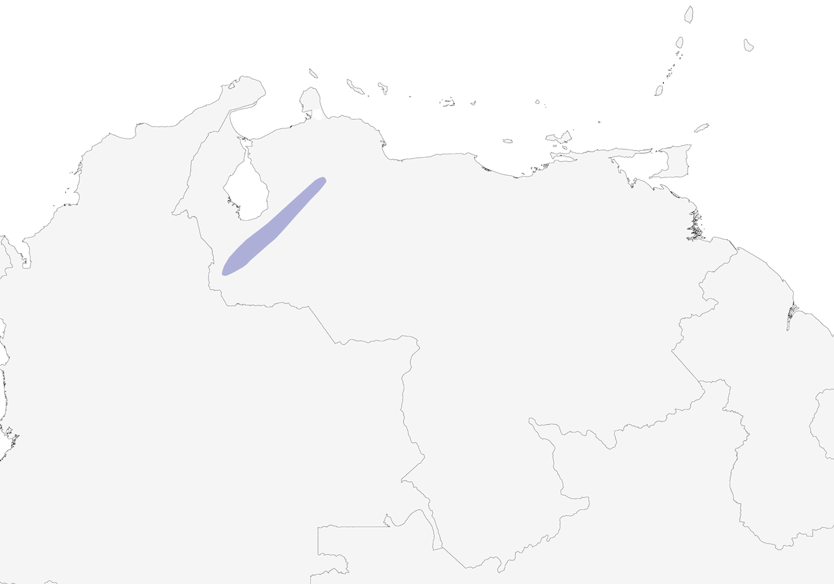 Gray-capped Hemispingus, Distribution 1