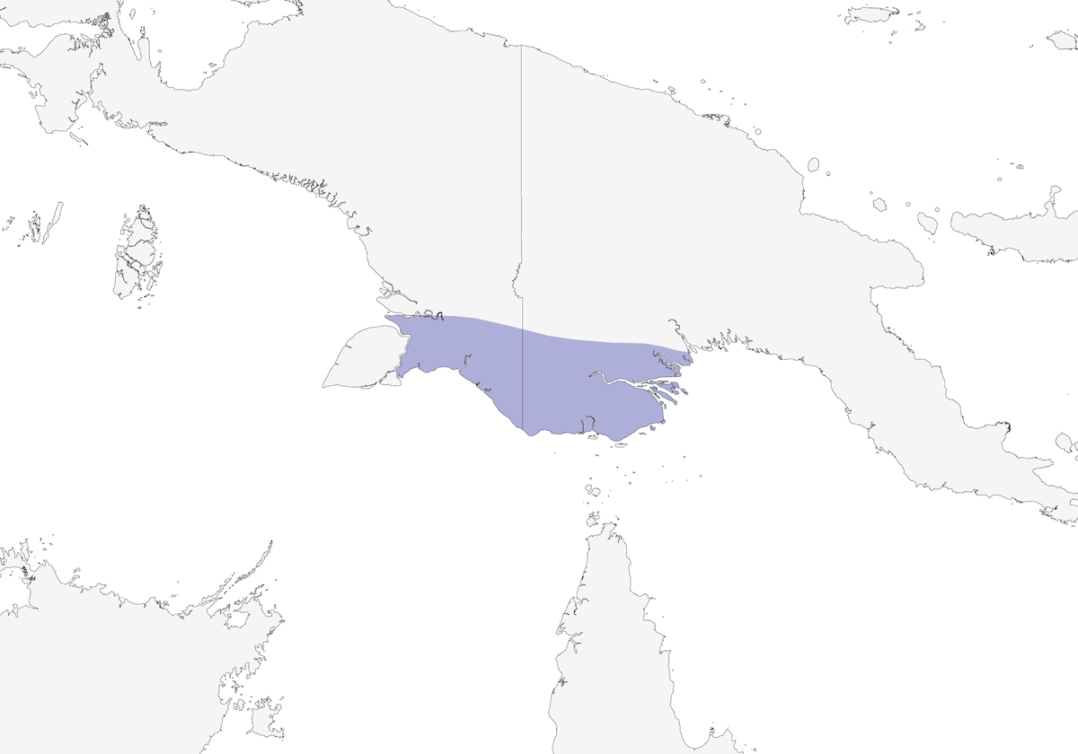 Munia dalla corona grigia, Distribuzione 1