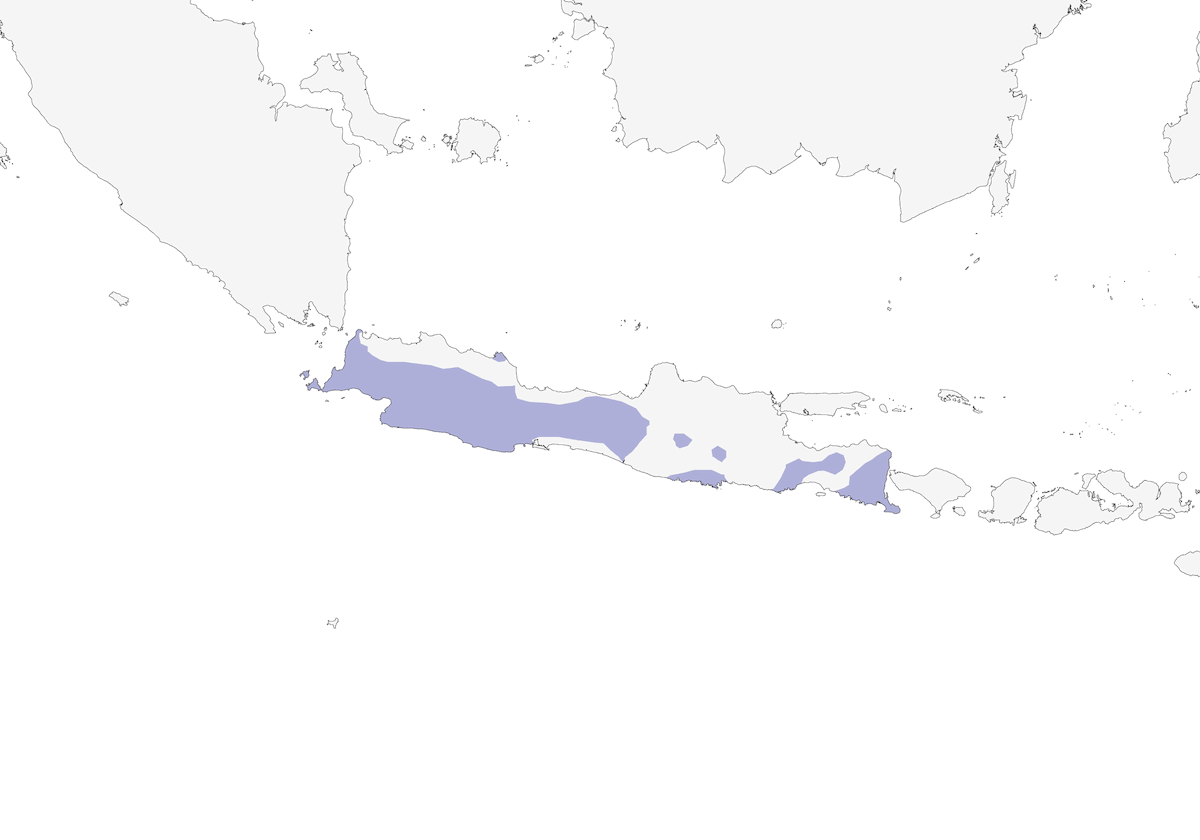 Gray-cheeked Tit-Babbler, Distribution 1