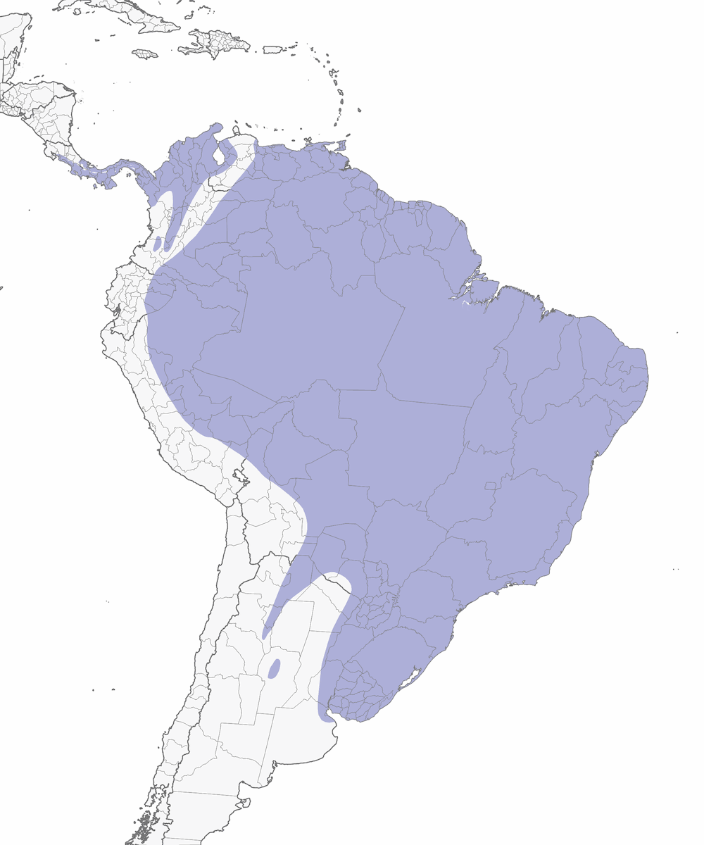 Rascón Selvático de Capirote Gris, Distribución 1