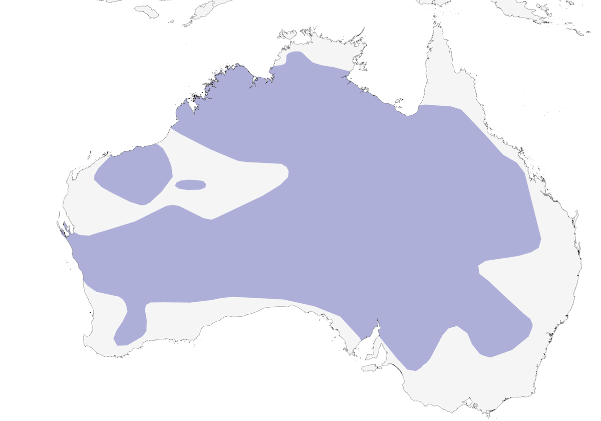 Melifago frontegrigia, Distribuzione 1