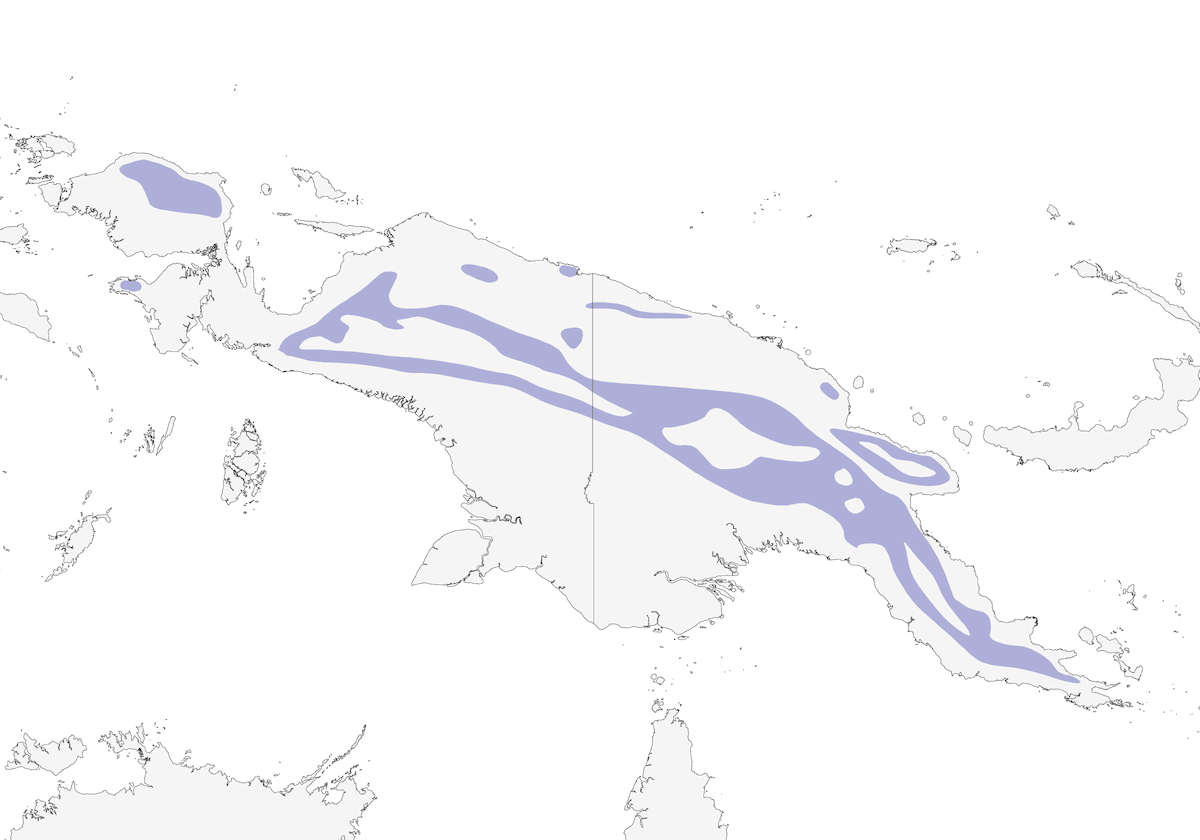 Sericorno grigioverde, Distribuzione 1