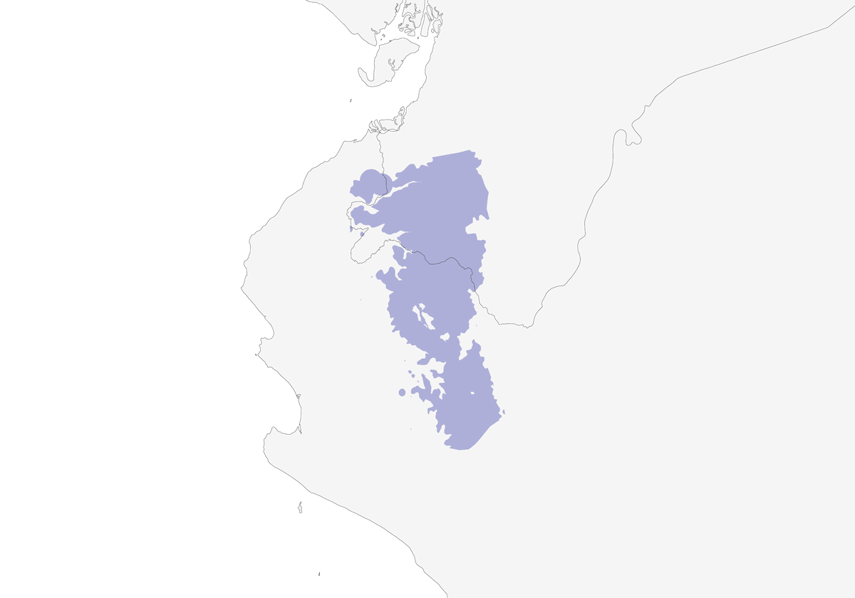 Gray-headed Antbird, Distribution 1