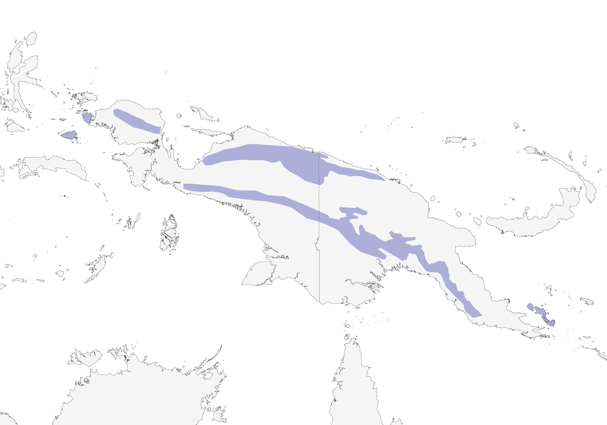 Ciccadaio testagrigia, Distribuzione 1