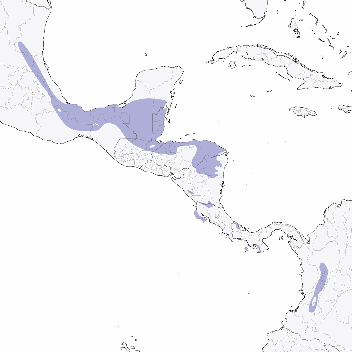 Tortora dal capo grigio, Distribuzione 1