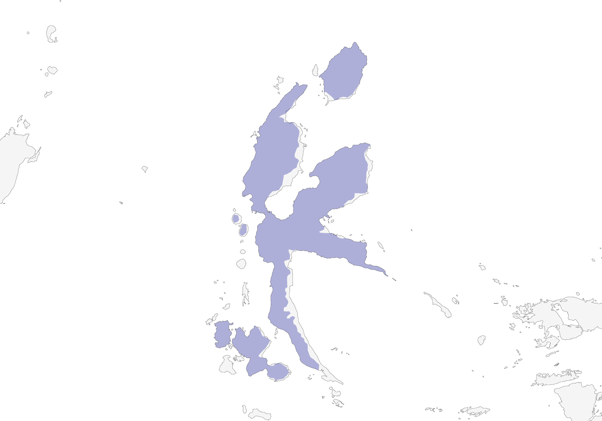Tilopo cabecigrís, Distribución 1