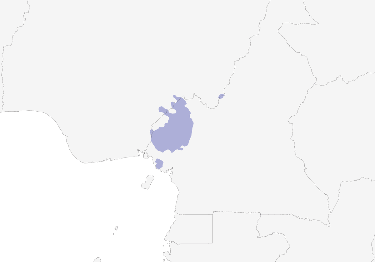 Bulbul à tête grise, Distribution 1