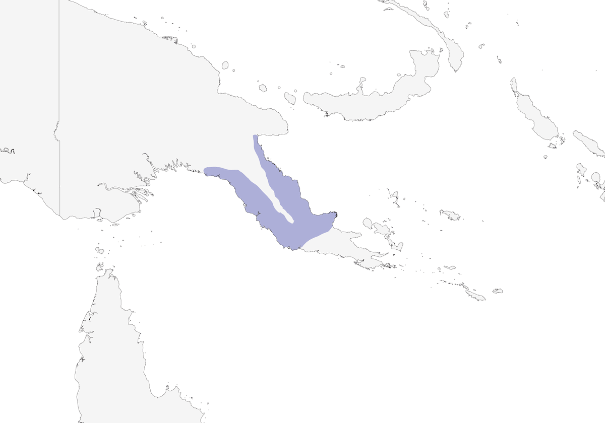 Gray-headed Munia, Distribution 1