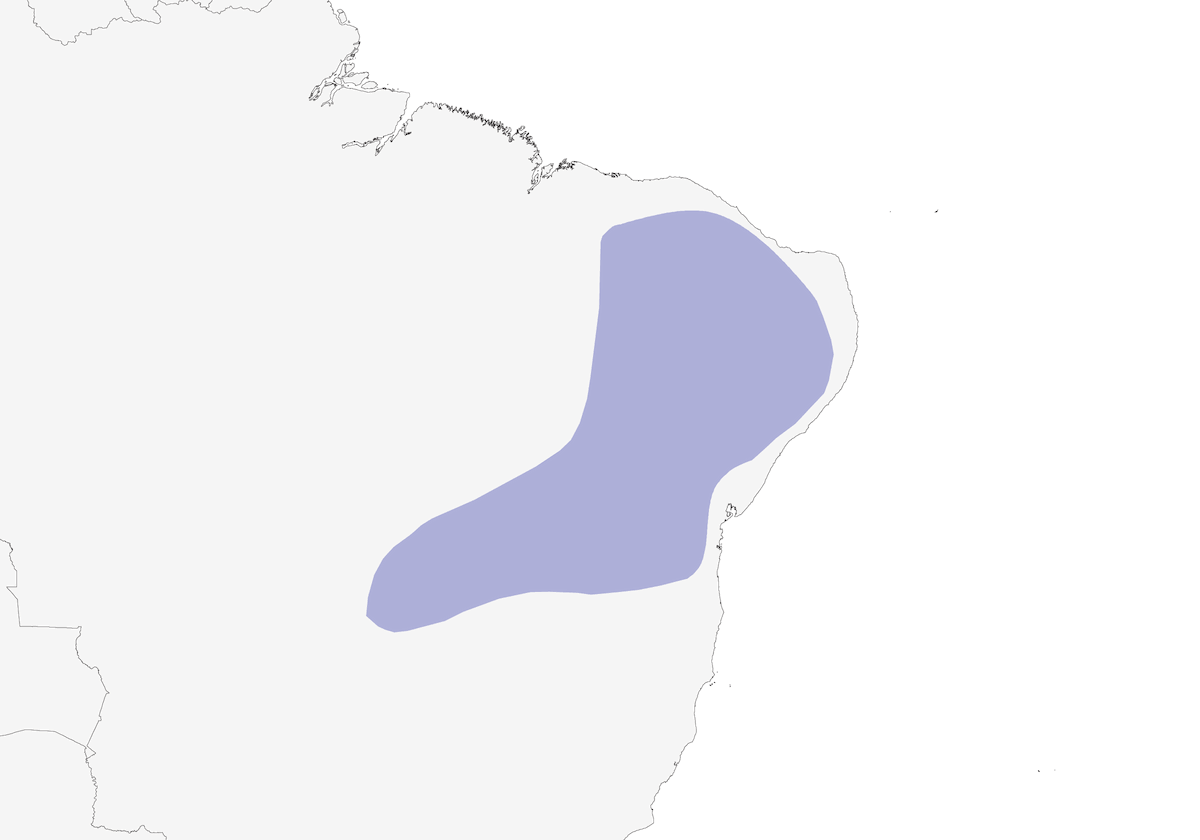 Rabitoespino Cabecigrís, Distribución 1
