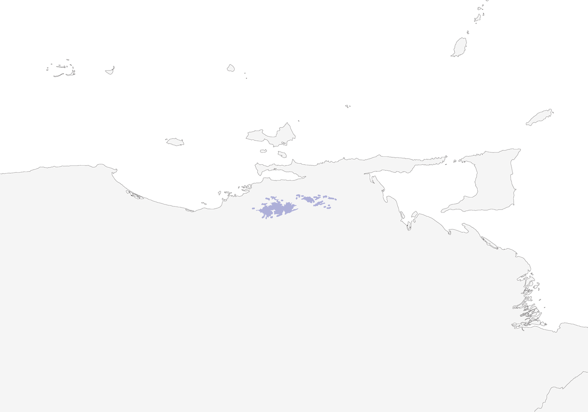 Curruca Cabecigrís, Distribución 1