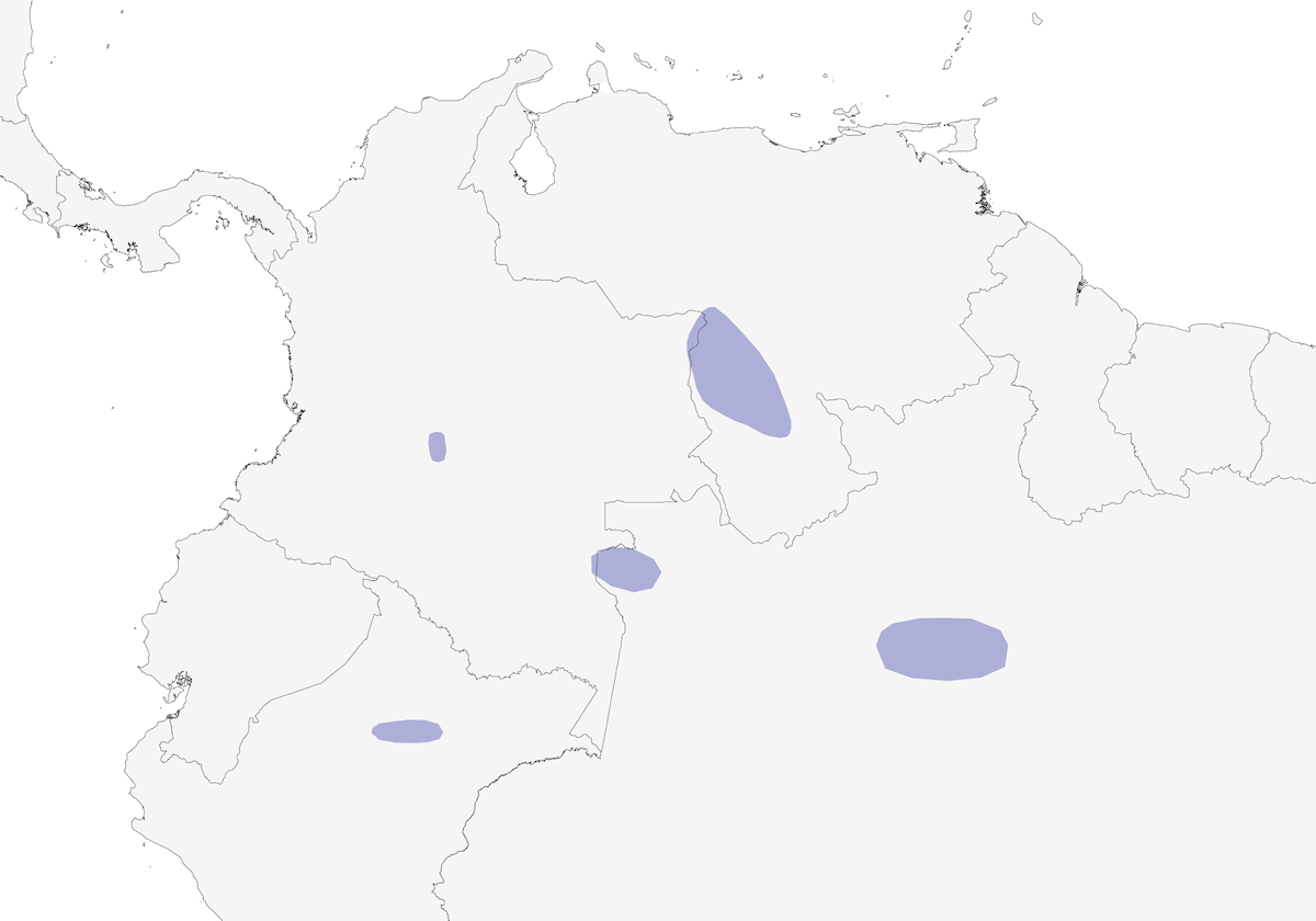 Tinamou cendré, Distribution 1