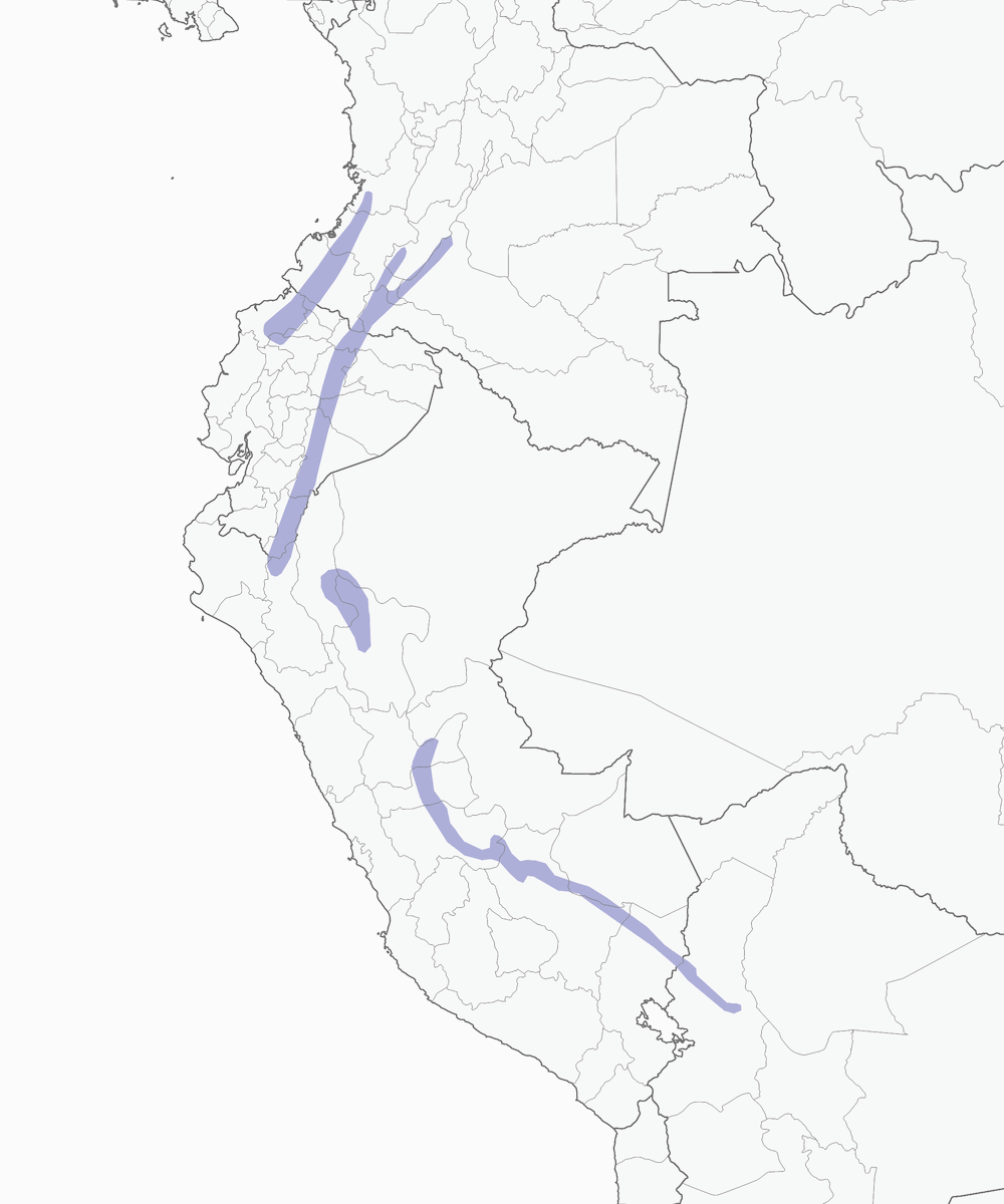 Gray-mantled Wren, Distribution 1