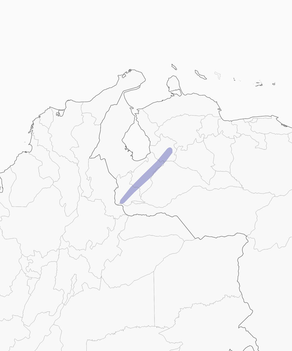 Tororoí de Nuca Gris, Distribución 1