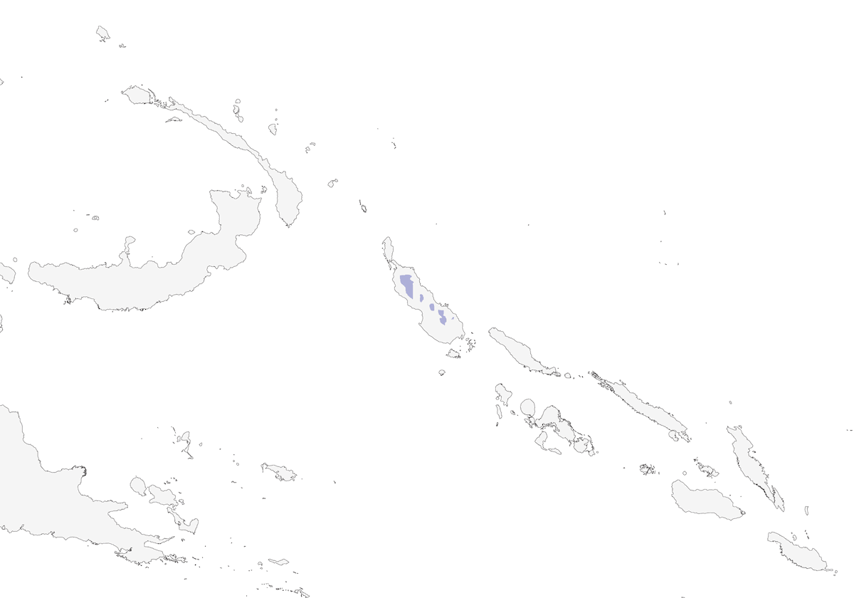 Occhialino di Bougainville, Distribuzione 1