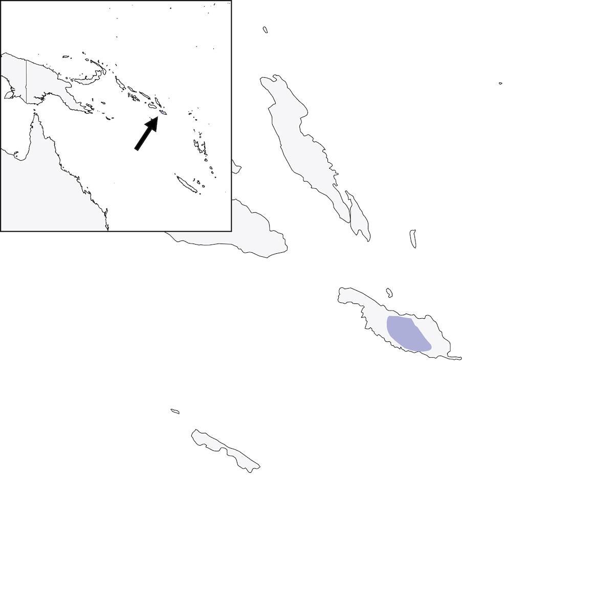 Occhialino di Makira, Distribuzione 1