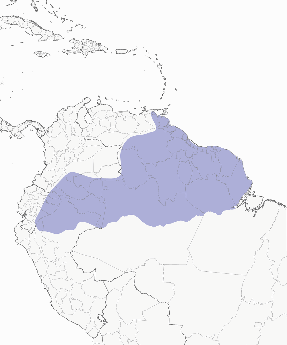 Gray-winged Trumpeter, Distribution 1