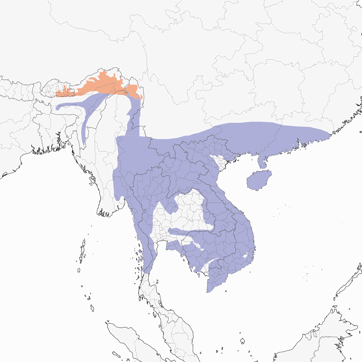 Hainan Blue Flycatcher, Distribution 1