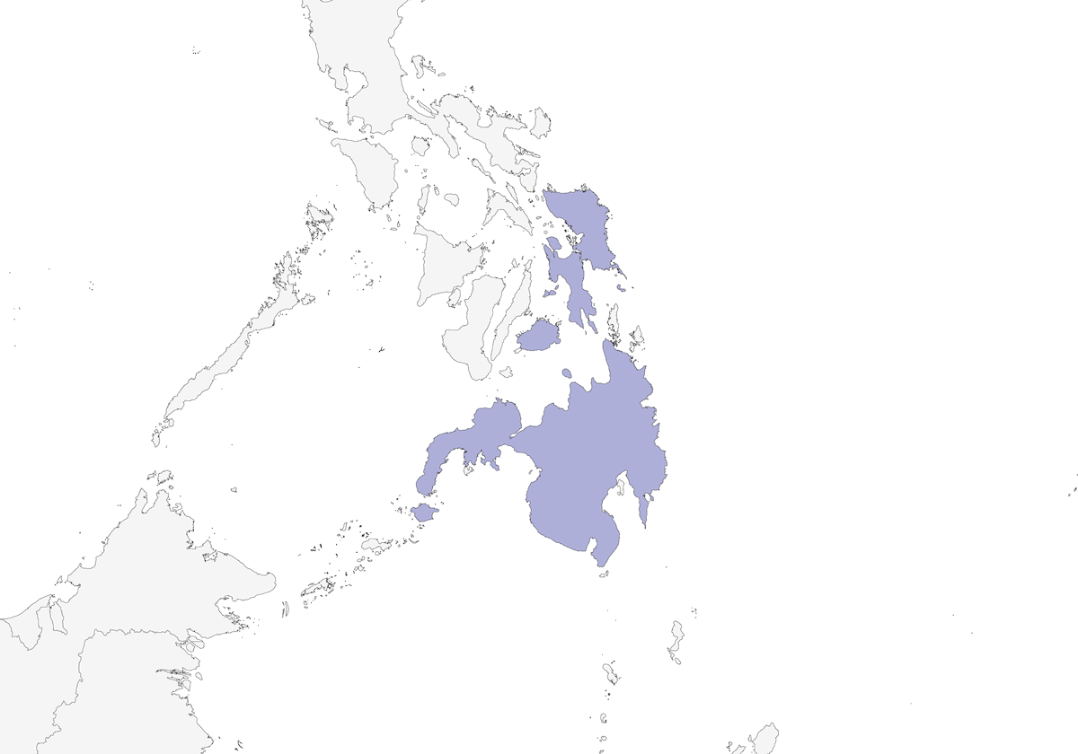 Drongo codacorta, Distribuzione 1