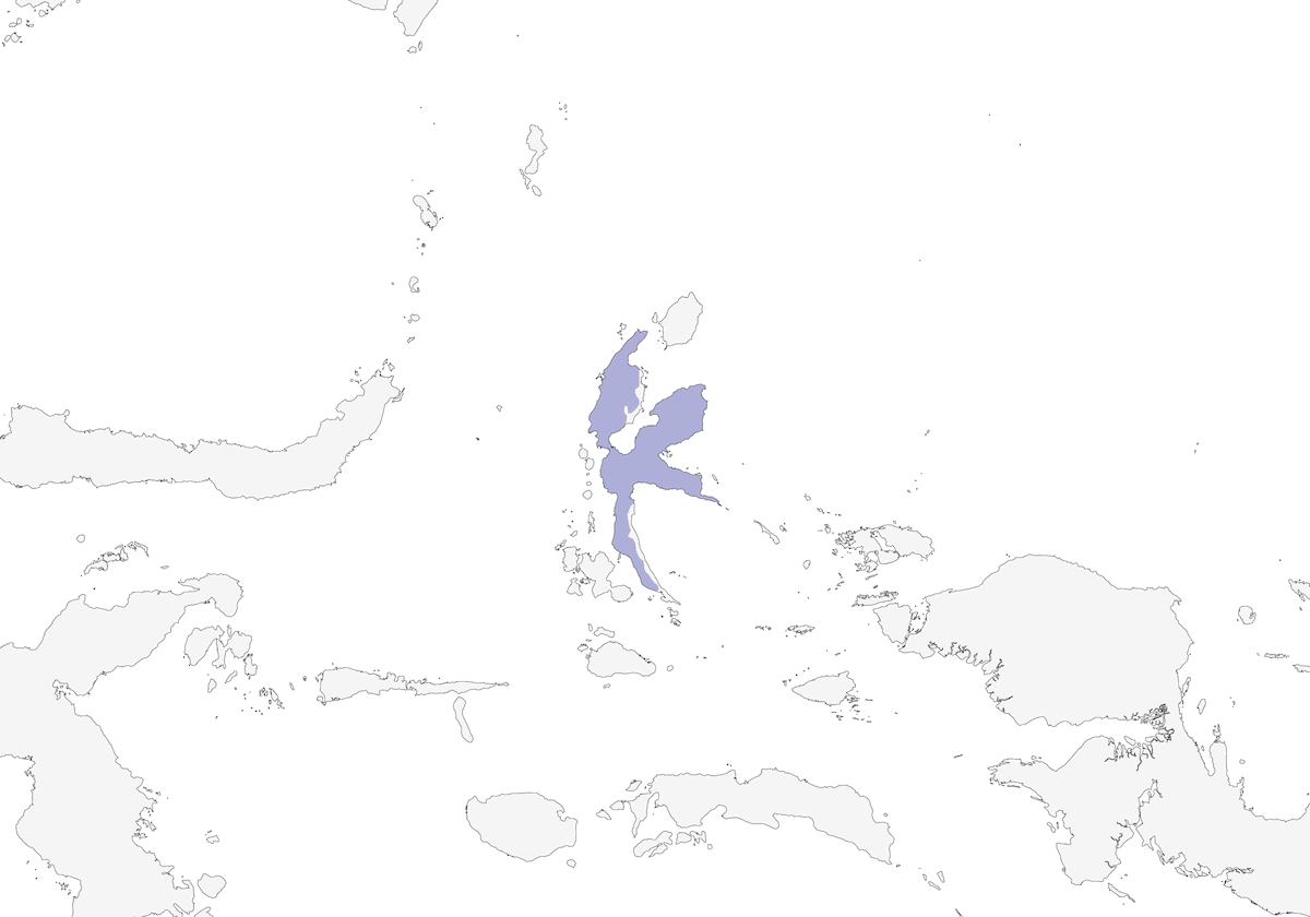 Oruguero de Halmahera, Distribución 1