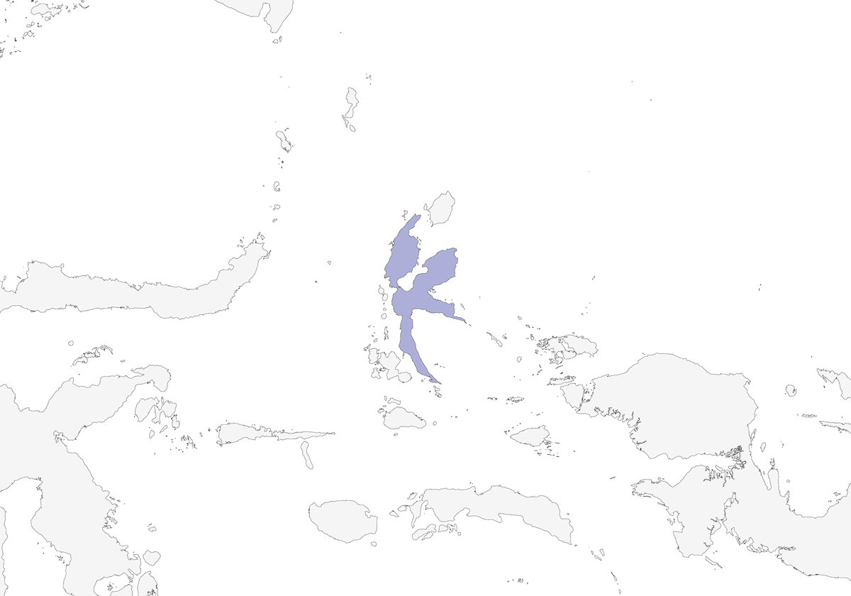 Oropéndola de Halmahera, Distribución 1