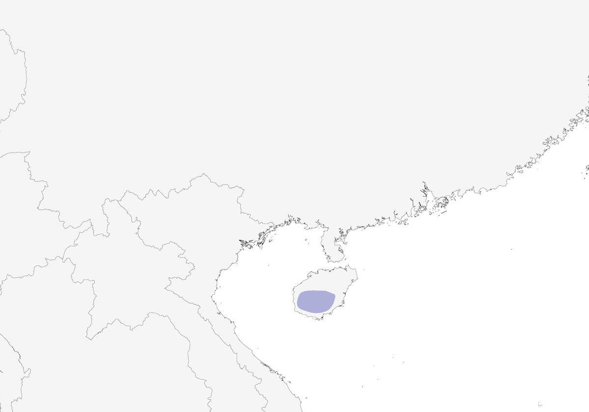 Luì dell'Hainan, Distribuzione 1