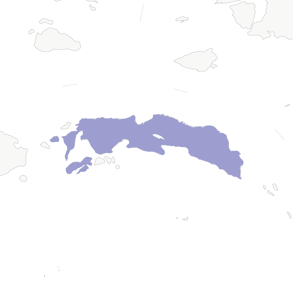 Civetta di Ceram, Distribuzione 1