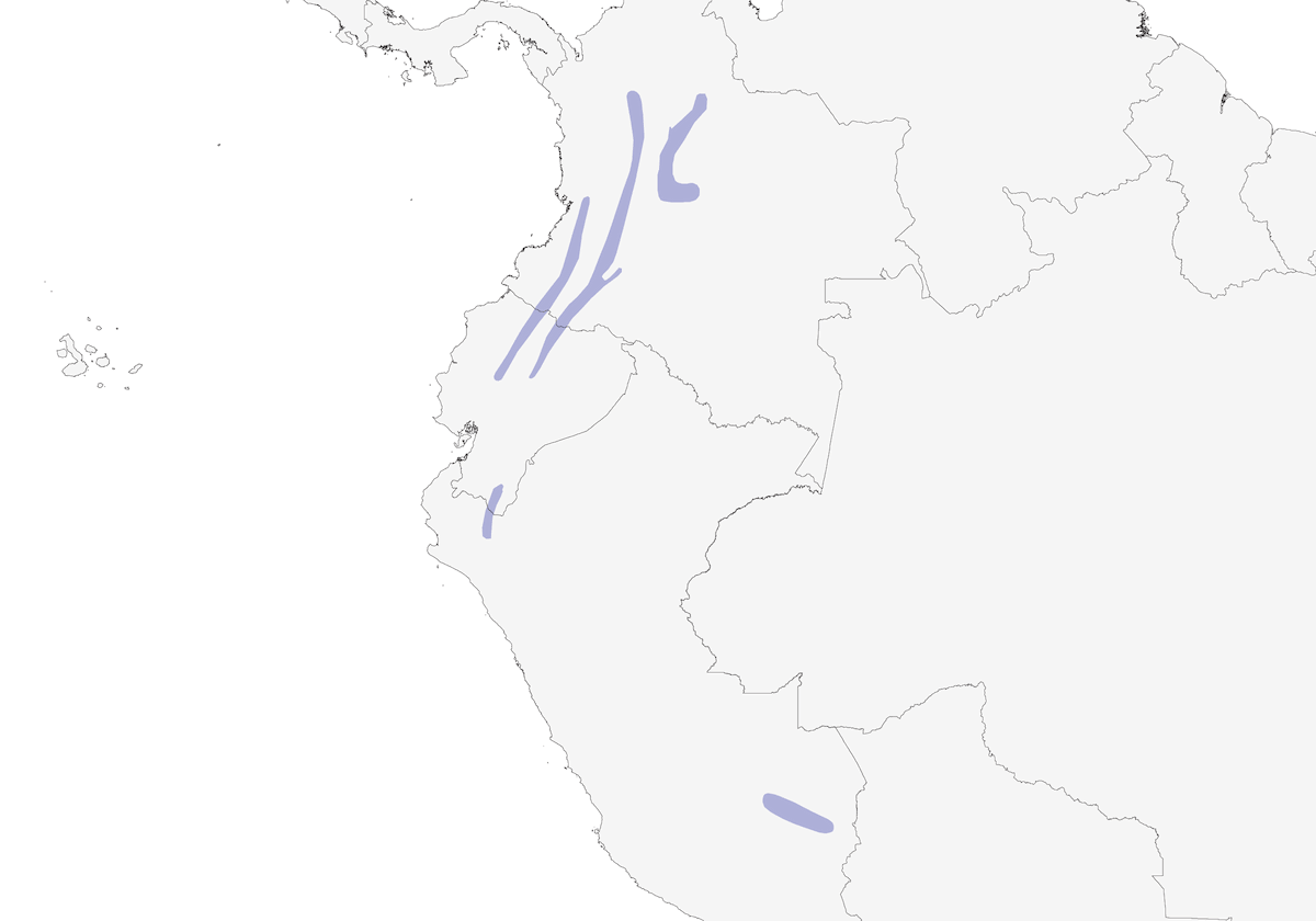 Mosquero vistoso, Distribución 1