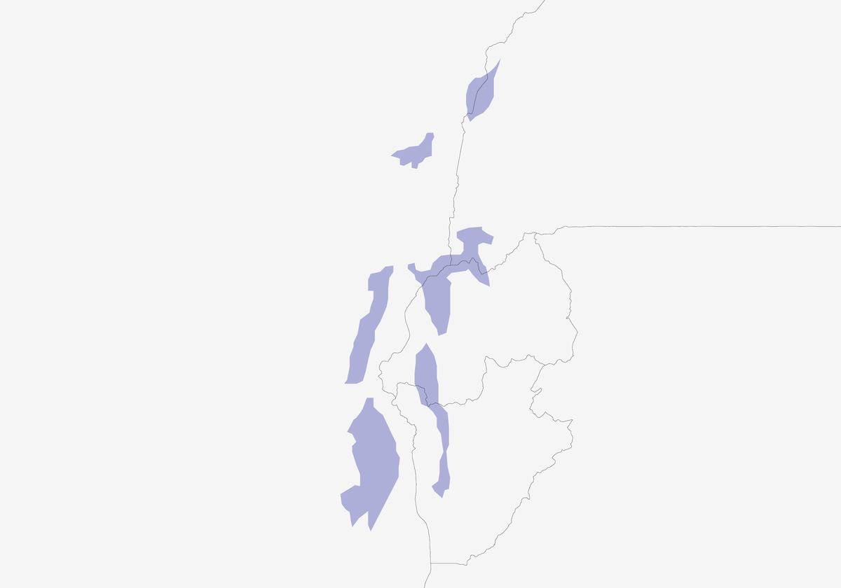 Spolvero magnifico, Distribuzione 1