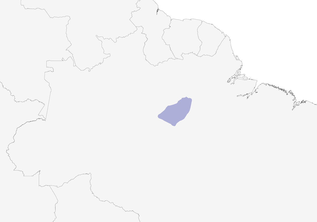 Harlequin Antbird, Distribution 1