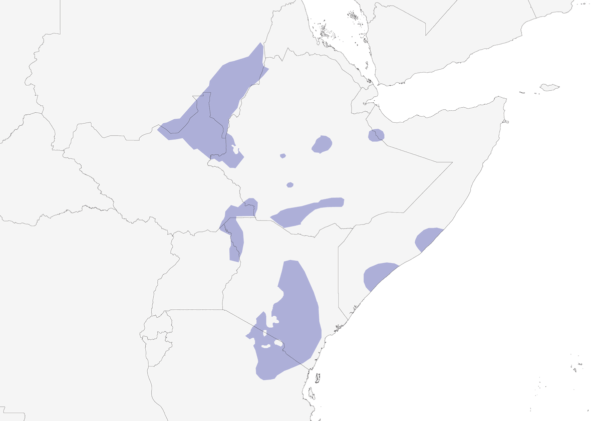 Avutarda de Hartlaub, Distribución 1