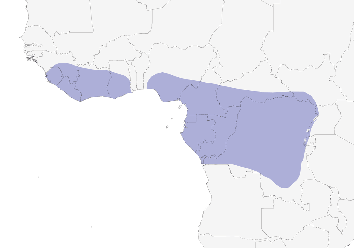 Pato de Hartlaub, Distribución 1