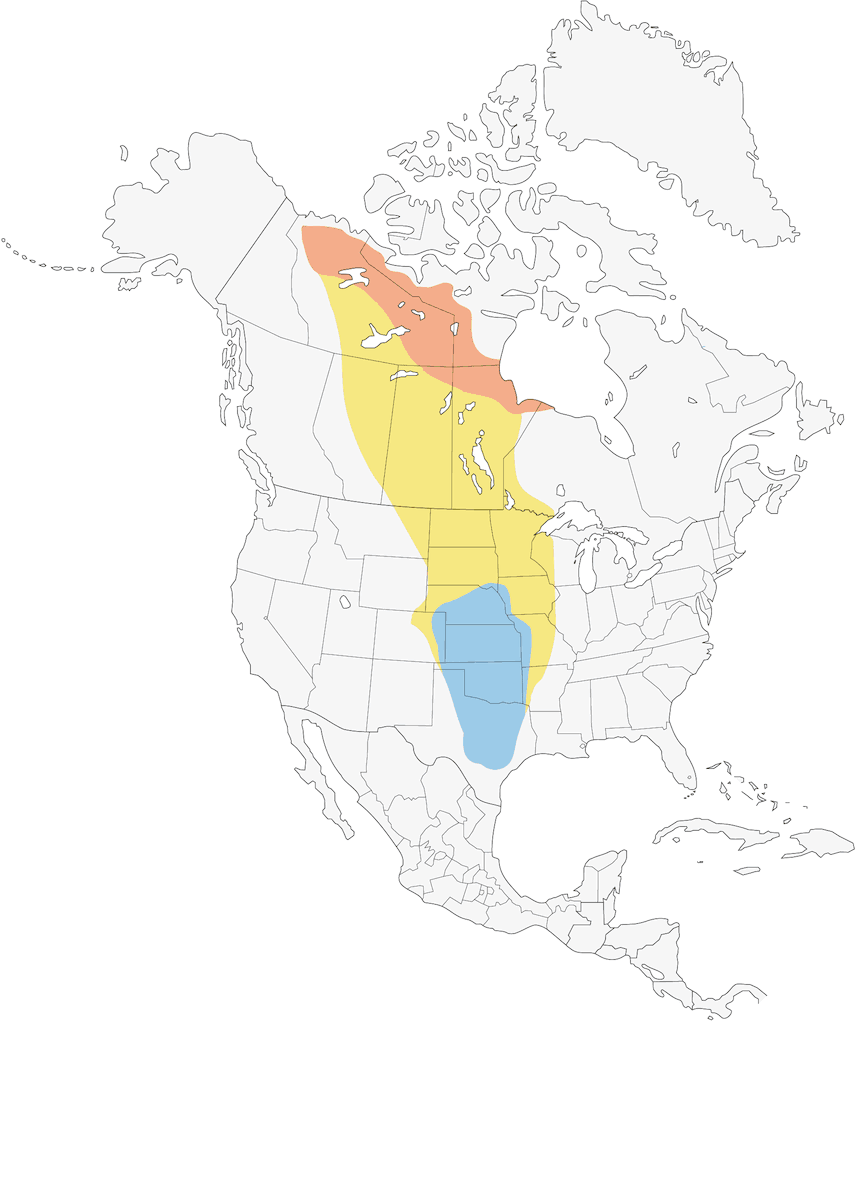 Harris's Sparrow, Distribution 1