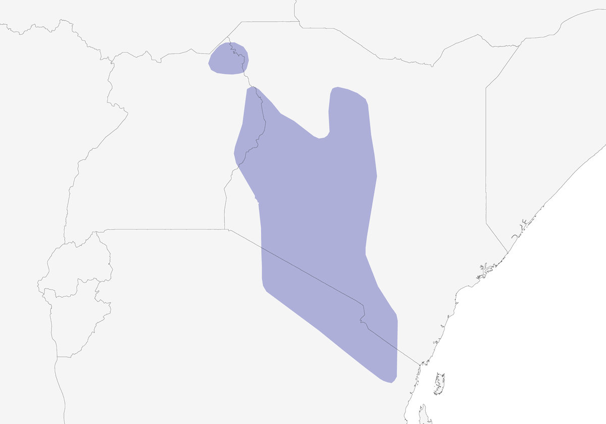Turaco de Hartlaub, Distribución 1