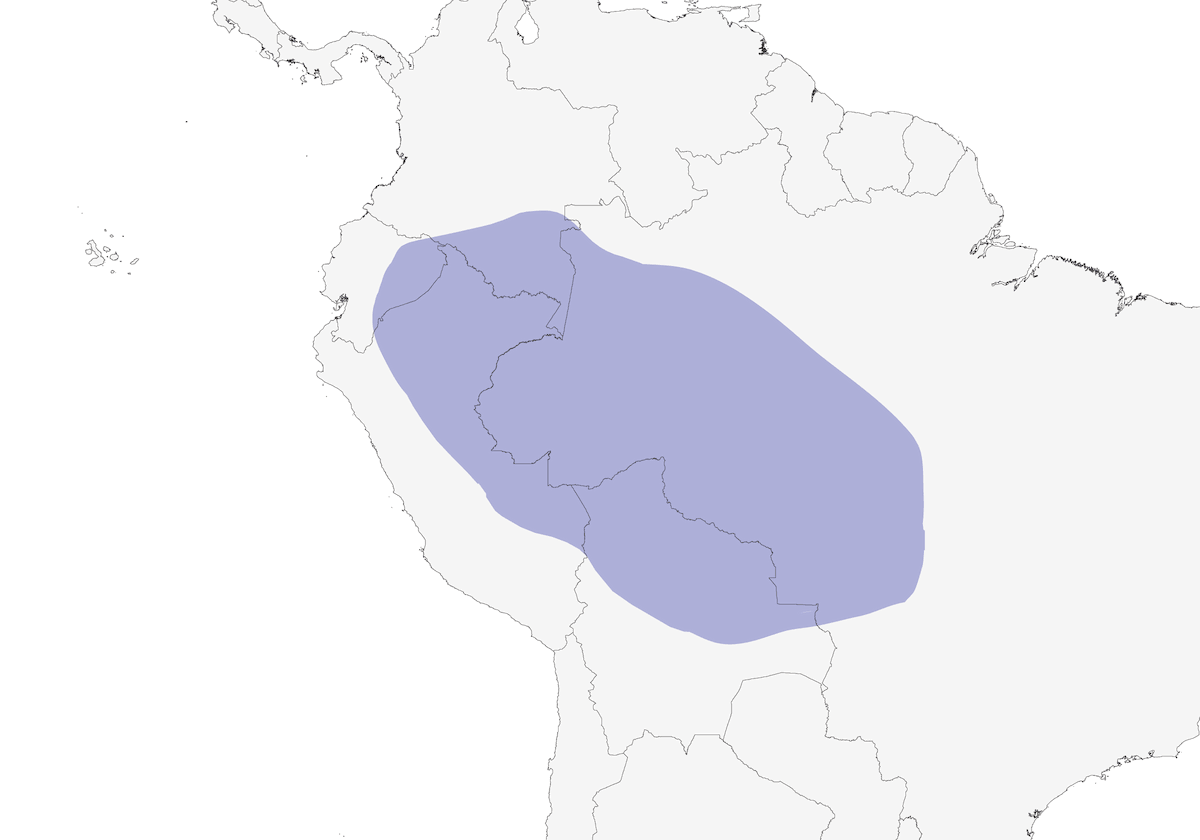 Grive de Hauxwell, Distribution 1