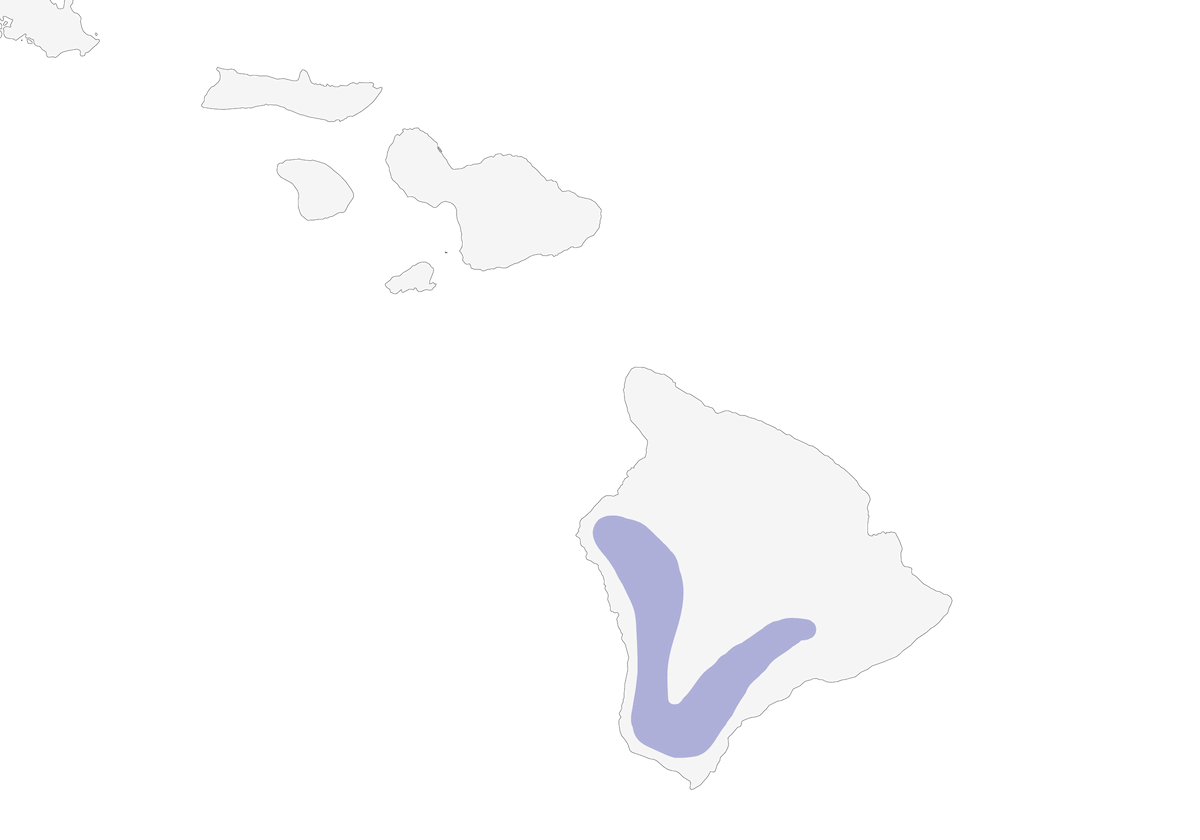 Corvo delle Hawaii, Distribuzione 1