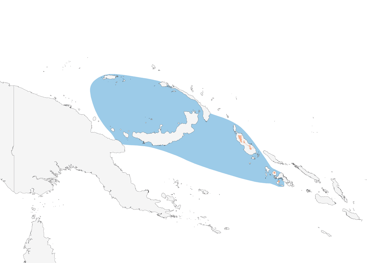 Heinroth's Shearwater, Distribution 1