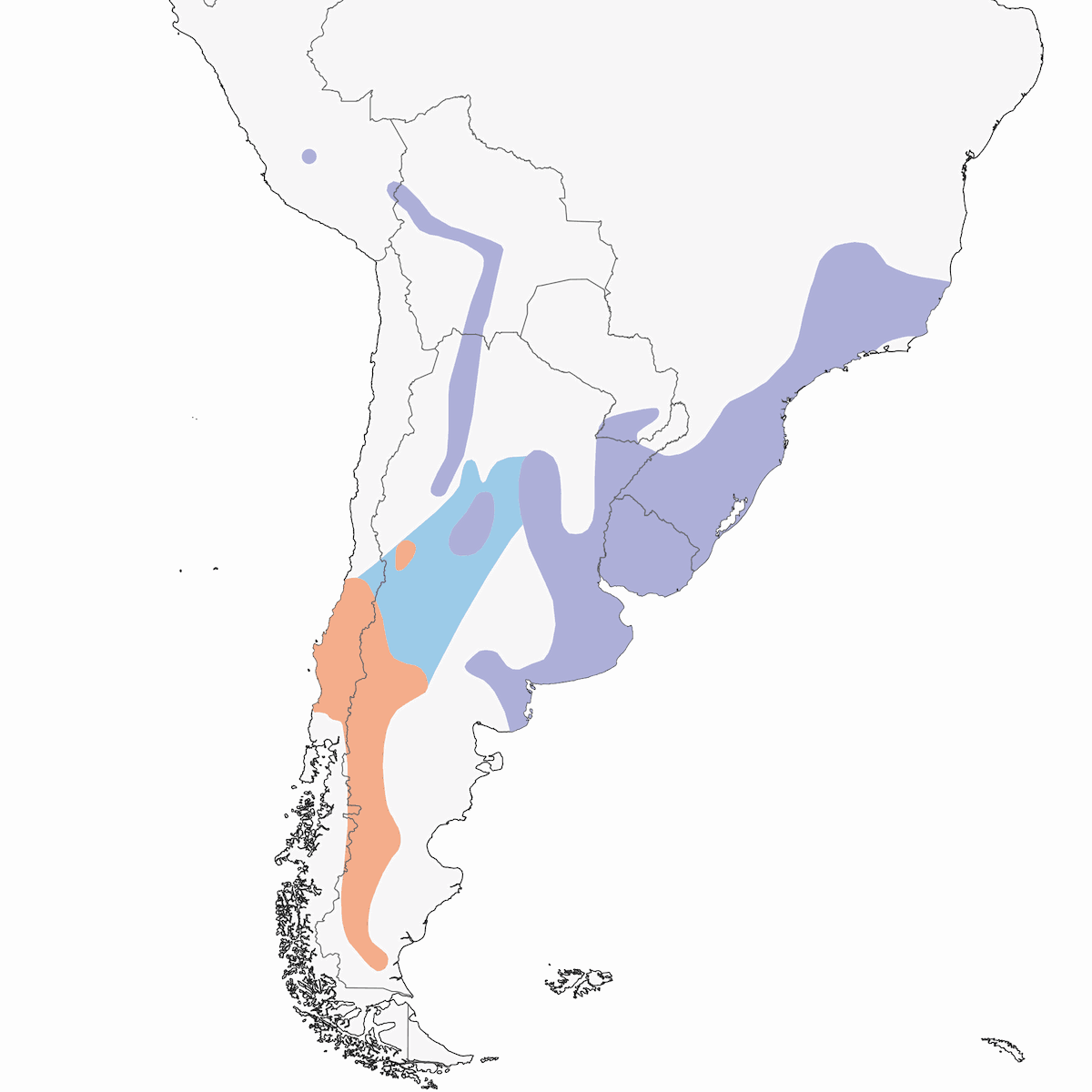 Hellmayr's Pipit, Distribution 1