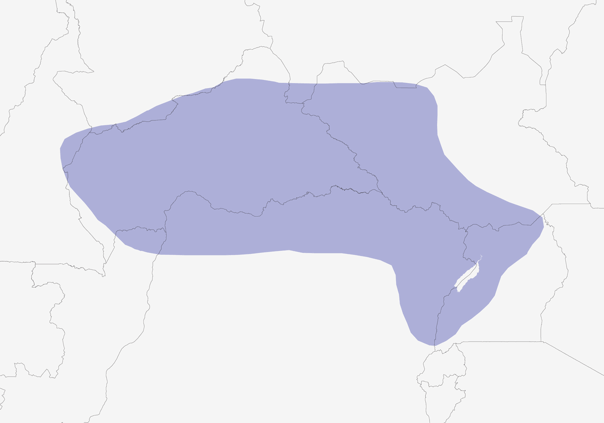 Fagiano francolino di Heuglin, Distribuzione 1