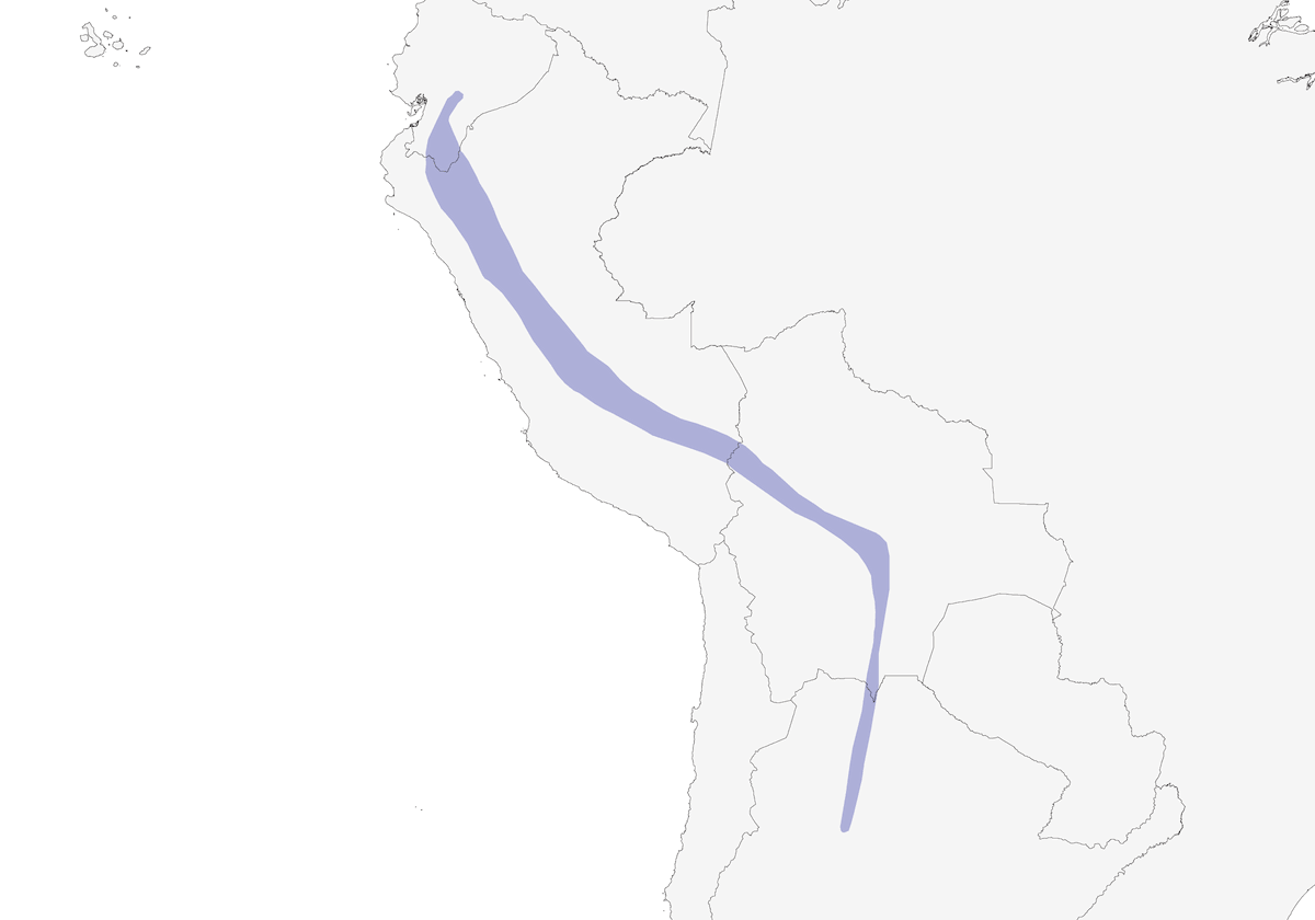 Elenia Serrana, Distribución 1