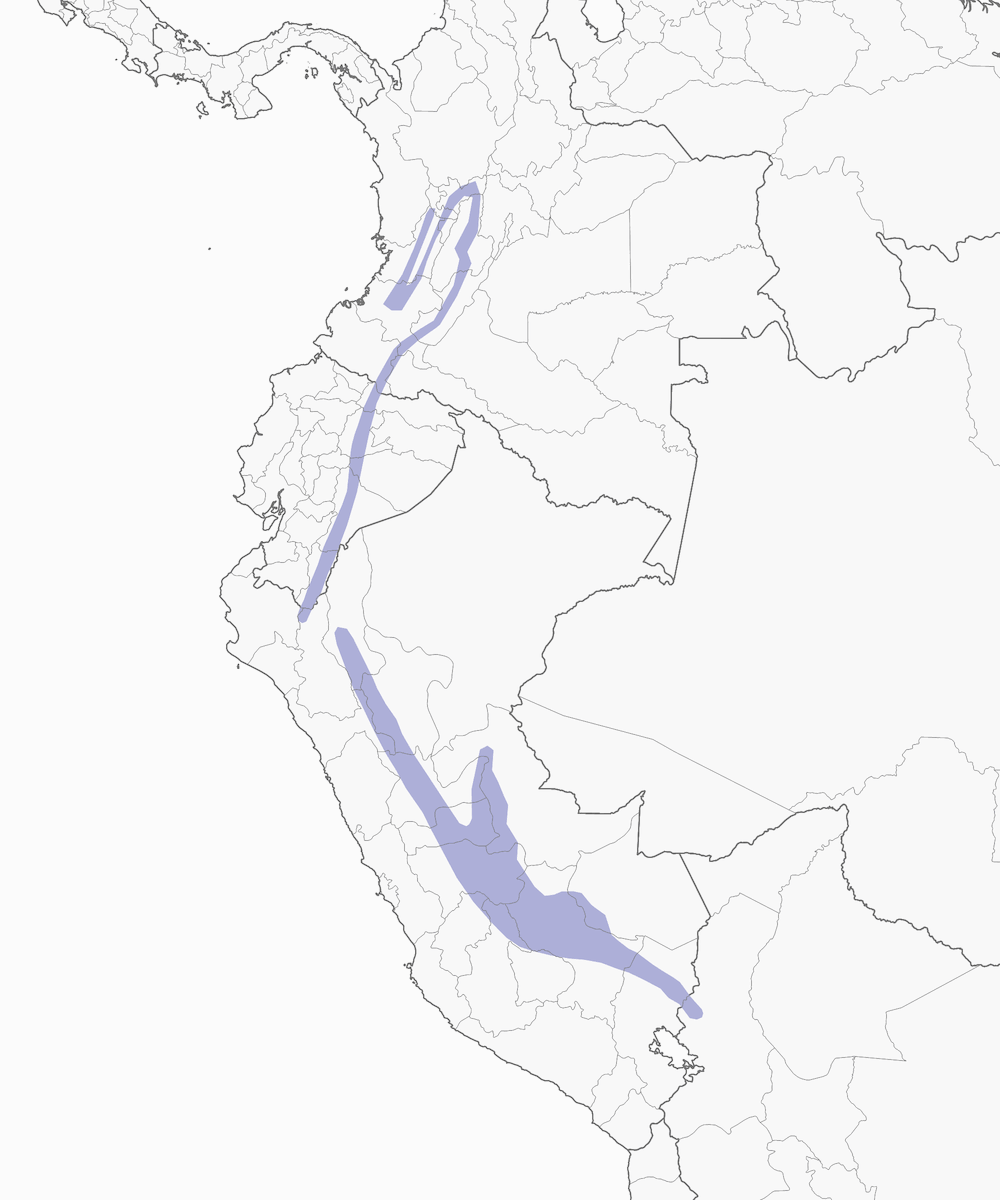 Motmot andino, Distribuzione 1