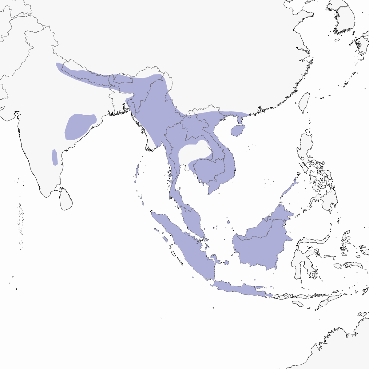 Common Hill Myna, 分布 1